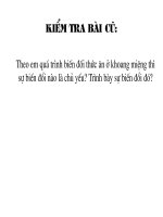 Bài 25  tiêu hóa ở khoang miệng