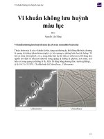 Vi khuẩn không lưu huỳnh màu lục 