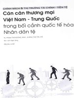 Cán cân thương mại việt nam   trung quốc trong bối cảnh quốc tế hóa nhân dân tệ 