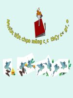 Bài giảng sinh học 9 tham khảo ADN và bản chất của gen (34) 