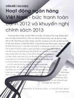 Hoạt động ngân hàng việt nam   bức tranh toàn cảnh 2012 và khuyến nghị chính sách 2013 