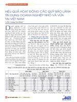 Hiệu quả hoạt động các quỹ bảo lãnh tín dụng doanh nghiệp nhỏ và vừa tại việt nam 