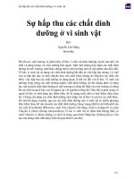 Sự hấp thu các chất dinh dưỡng ở vi sinh vật (1) 