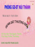 Bài giảng sinh học 9 thực hành quan sát thường biến (17) 