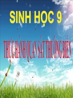 Bài giảng sinh học 9 thực hành quan sát thường biến (30) 