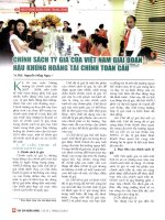 Chính sách tỷ giá của việt nam giai đoạn hậu khủng hoảng tài chính toàn cầu 