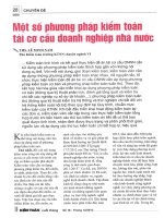Một số phương pháp kiểm toán tái cơ cấu doanh nghiệp nhà nước 
