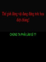 Thế giới động vật đang dần tuyệt chủng 