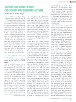 Giải pháp tăng trưởng tín dụng cho các ngân hàng thương mại việt nam 