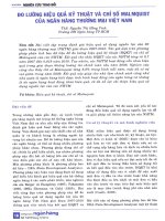 Đo lường hiệu quả kỹ thuật và chỉ số malmquist của ngân hàng thương mại việt nam 