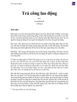 Trả công lao động 