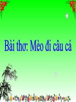 Bài thơ mèo đi câu cá