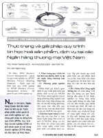 Thực trạng và giải pháp quy trình tin học hóa sản phẩm, dịch vụ tại các ngân hàng thương mại việt nam 