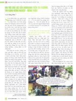 Vai trò chủ lực của agribank trên thị trường tín dụng nông nghiệp   nông thôn 