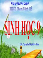 Bài giảng sinh học 9 bài ô nhiễm môi trường (2) 