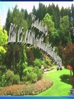 Bài giảng sinh học 9 tham khảo ADN và bản chất của gen (12) 