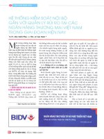 Hệ thống kiểm soát nội bộ gắn với quản lý rủi ro tại các ngân hàng thương mại việt nam trong giai đoạn hiện nay 