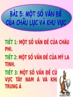 Bài 5  một số vấn đề của châu phi
