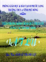 Bài giảng vật lý 9 nam châm vĩnh cửu tham khảo  (13) 