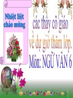 Giáo án bồi dưỡng ngữ văn lớp 6 bài học đường đời đầu tiên (3) 