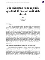 Các biện pháp nâng cao hiệu quả kinh tế của sản xuất kinh doanh 