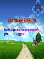 Bài giảng hóa học 9 tham khảo dãy hoạt động hóa học của kim loại (2) 