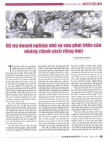 Hỗ trợ doanh nghiệp nhỏ và vừa phát triển cần những chính sách riêng biệt 