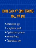 ĐƠN BÀO KÝ SINH TRONG MÁU VÀ MÔ