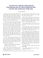 Giải pháp phát triển môi trường miền núi vùng đồng bào dân tộc thiểu số nhằm góp phần thúc đẩy tăng trưởng kinh tế bền vững 