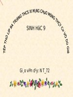 Bài giảng sinh học 9 tham khảo ADN và bản chất của gen (32) 