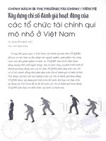 Xây dựng chỉ số đánh giá hoạt động của các tổ chức tài chính qui mô nhỏ ở việt nam 