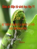 BÀI 3 sự THÍCH NGHI của SINH vật với môi TRƯỜNG