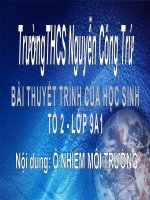 Bài giảng sinh học 9 bài ô nhiễm môi trường (26) 