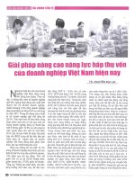 Giải pháp nâng cao năng lực hấp thụ vốn của doanh nghiệp việt nam hiện nay 