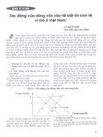 Tác động của dòng vốn vào tới bất ổn kinh tế vĩ mô ở việt nam 