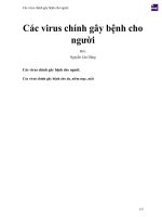 Các virus chính gây bệnh cho người 