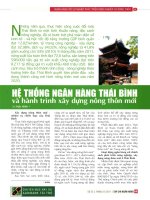 Hệ thống ngân hàng thái bình và hành trình xây dựng nông thôn mới 