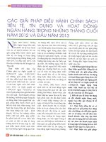 giải pháp điều hành chính sách tiền tệ, tín dụng và hoạt động ngân hàng trong những tháng cuối năm 2012 và đầu năm 2013 