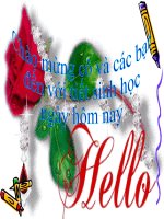 Bài giảng sinh học 9 thực hành quan sát thường biến (10) 