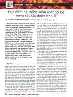 Đặc điểm hệ thống kiểm soát nội bộ trong các tập đoàn kinh tế 