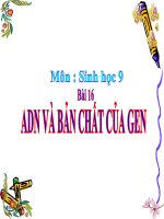 Bài giảng sinh học 9 tham khảo ADN và bản chất của gen (14) 