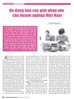 Đa dạng hóa các giải pháp vốn cho doanh nghiệp việt nam 