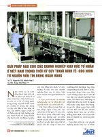 Giải pháp nào cho các doanh nghiệp khu vực tư nhân ở việt nam trong thời kỳ suy thoái kinh tế   góc nhìn từ nguồn vốn tín dụng ngân hàng 