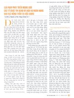 Giải pháp phát triển mạng lưới các tổ chức tín dụng và dịch vụ ngân hàng khu vực nông thôn tại hậu giang 