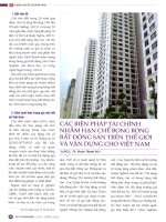 Các biện pháp tài chính nhằm hạn chế bong bóng bất động sản trên thế giới và vận dụng cho việt nam 