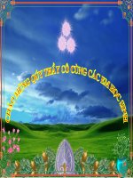 Bài giảng vật lý 9 nam châm vĩnh cửu tham khảo  (11) 