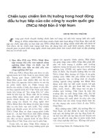 Chiến lược chiếm lĩnh thị trường trong hoạt động đầu tư trực tiếp của các công ty xuyên quốc gia (TNCs)  nhật bản ở việt nam 