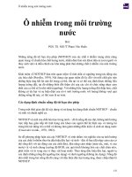 Ô nhiễm trong môi trường nước 