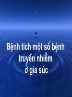 THỰC HÀNH  bệnh truyền nhiễm ở vật nuôi