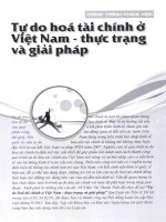 Tự do hóa tài chính ở việt nam   thực trạng và giải pháp 